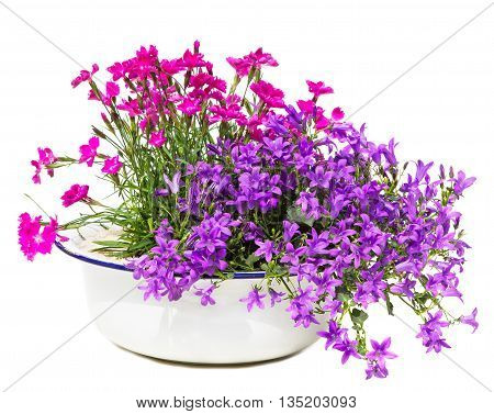 Old White Washbowl With Carnation And Bellflowers.