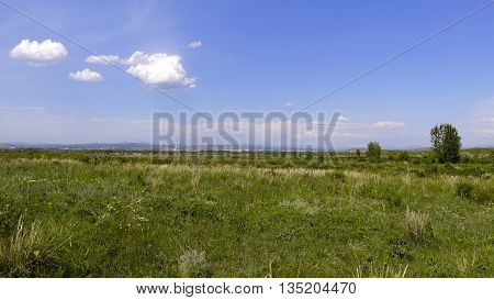 Beautiful green spring steppe and wonderful blue sky