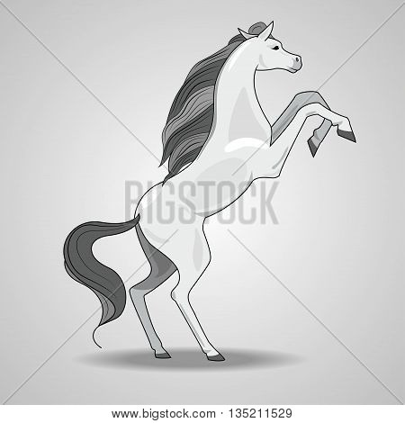 illustration with the image of a white rearing horse