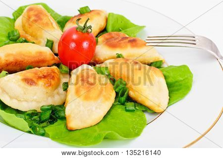 Gedza Japanese Dumplings in the Broth Studio Photo