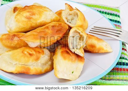 Gedza Japanese Dumplings in the Broth Studio Photo