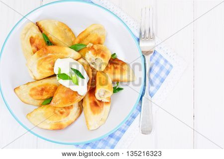 Gedza Japanese Dumplings in the Broth Studio Photo