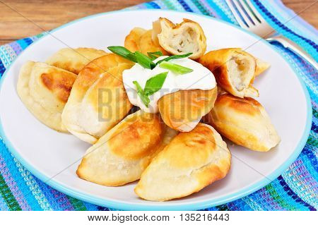 Gedza Japanese Dumplings in the Broth Studio Photo