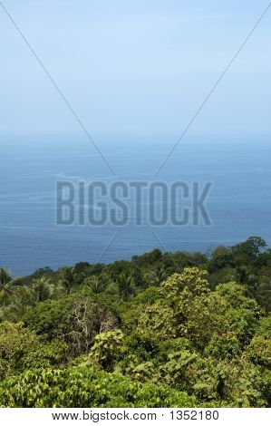 Wide Open Ocean