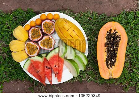 Assortment of sliced tropical fruits on on a background of green grass.