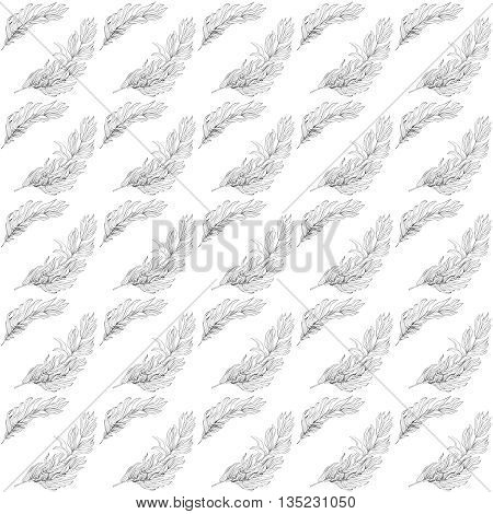 Black herbs seamless on white background , botanical decorative pattern with hand drawn herbs, rosemary