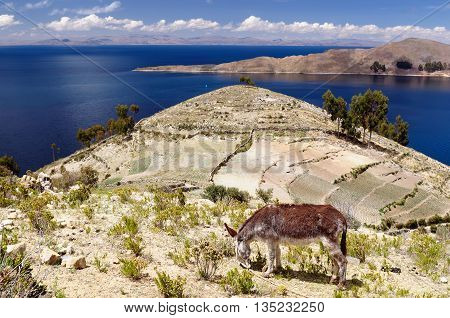 South America Bolivia - Isla del Sol on the Titicaca lake the largest highaltitude lake in the world