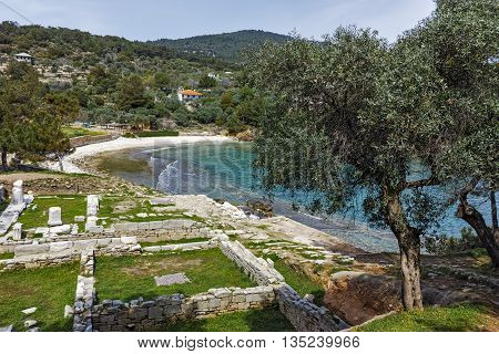 Panorama and olive tree to Archaeological site of Aliki, Thassos island,  East Macedonia and Thrace, Greece
