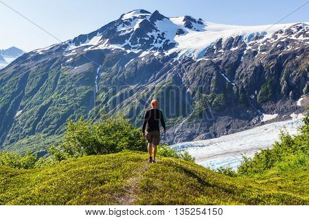 Exit Glacier, Kenai Fjords National Park, Seward, Alaska