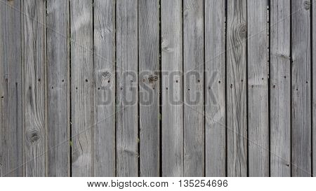 background trees painted wooden floors in the summer house outside the city