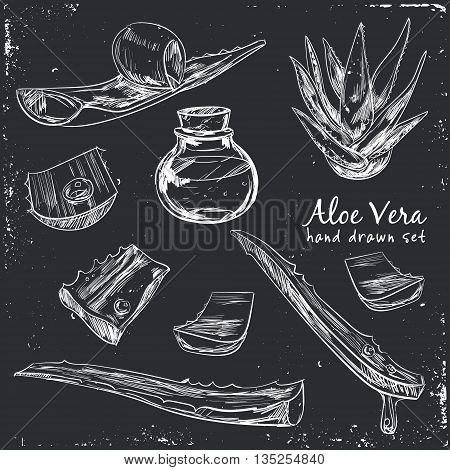 Aloe vera hand drawn set. Isolated Vector illustration. Kitchen hand-drawn herbs and spices. Health and Nature Collection.