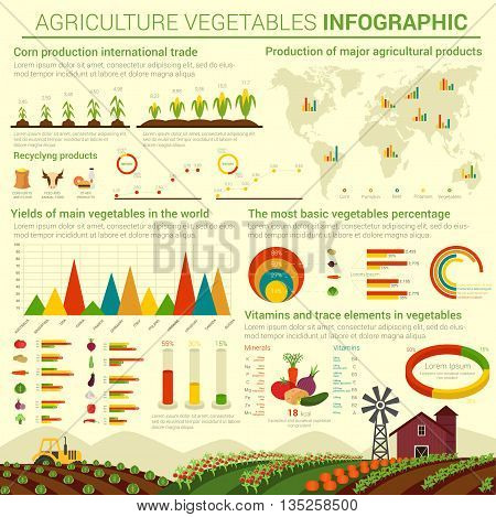 Infographic or infocharts template or layout for agriculture vegetables and its distributing over world map. Graphs and bar and circle, conus and linear, pie charts over field that has cabbage