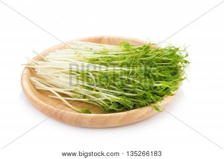 green pea sprouts fresh green pea sprouts Snow Pea Sprouts on White Background
