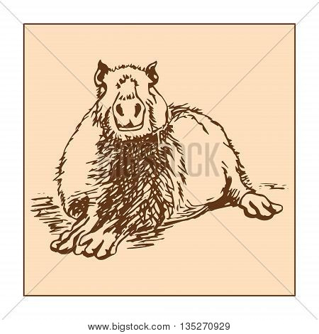 Graphic image large water rodent. Colored drawing - capybara brown. Vector illustration