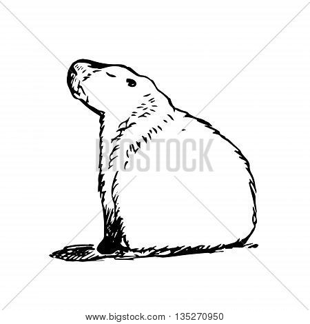 Graphic image large water rodent. The pattern of black lines in the form of capybaras on a white background. Vector illustration