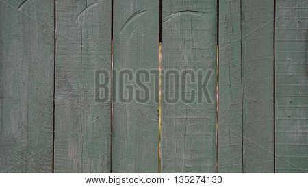 background trees texture of the wooden fence blue