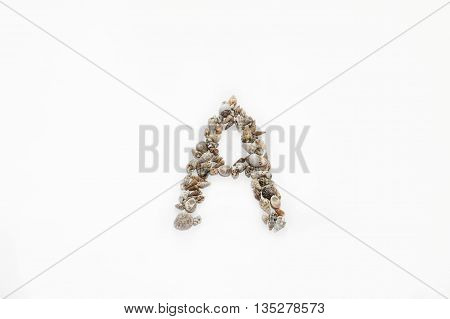 The letter 