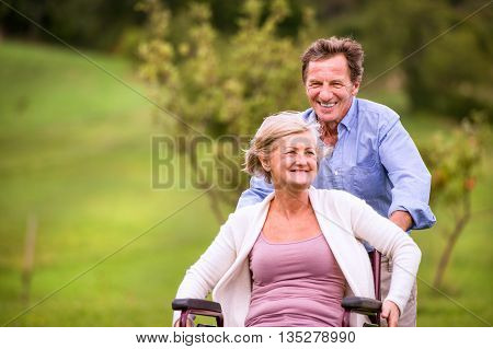 Senior Man Pushing Woman In Wheelchair, Green Autumn Nature