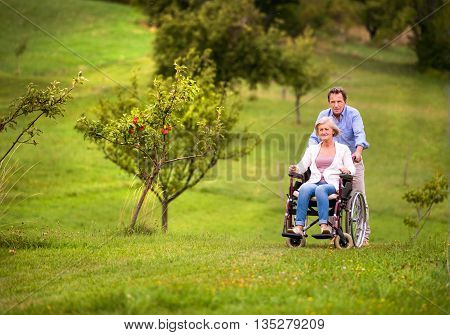 Senior Man Pushing Woman In Wheelchair, Green Autumn Nature