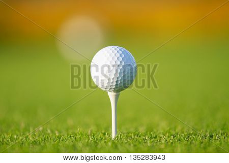 Golf ball on tee in a beautiful golf club.
