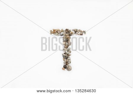 The letter 