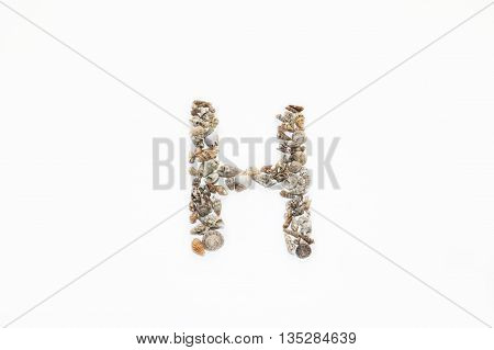 The letter 