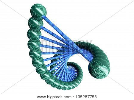 Dubble Helix Dna Structure Isolated On White