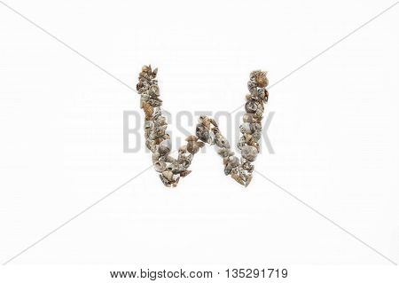 The letter 