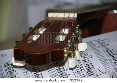 Guitarra y hojas