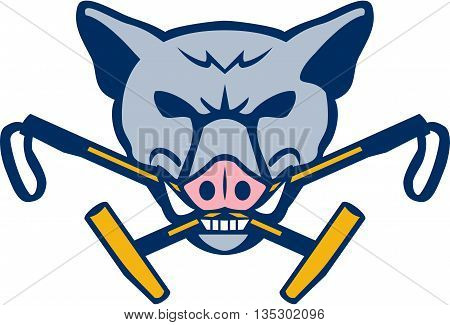 Illustration of an angry wild pig hog head biting crossed polo mallet viewed from front set on isolated white background done in retro style.