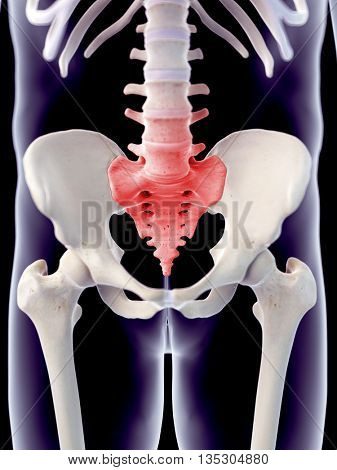 3d rendered, medically accurate 3d illustration of the painful sacrum