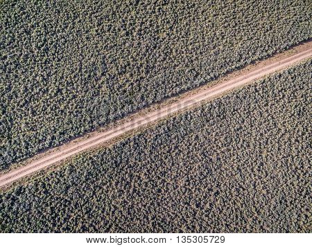 backcountry dirt road through fields covered by sagebrush - aerial view