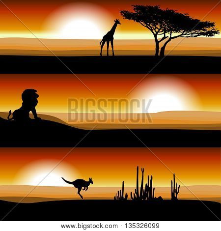 Animals on the savannah at sunset. Giraffe, lion, kangaroo