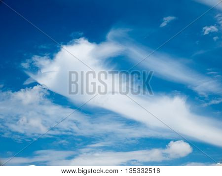 white clouds with the blue sky .