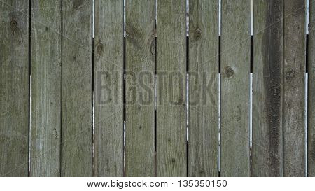 background trees  texture of the wooden fence grey-green in colour with the nails and notches and openings