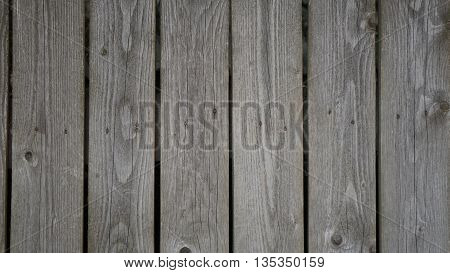 background tree texture of the wooden fence grey-green nails