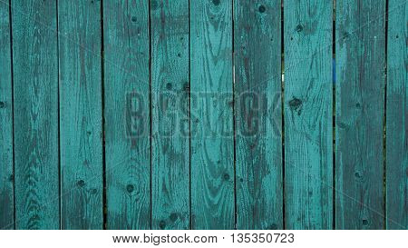 background tree texture of the wooden fence blue nails sky color