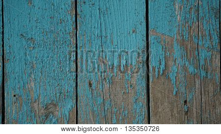 background tree texture of the wooden fence blue nails