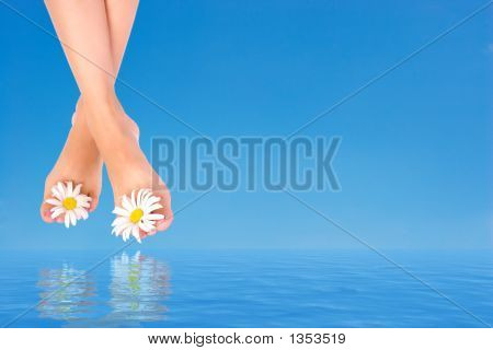 Gambe