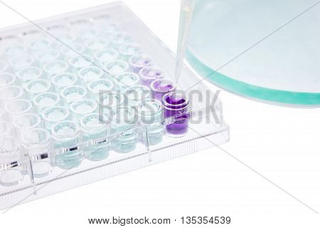 pipette test sample research test lab elisa ninety-six well plate analysis
