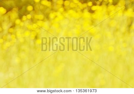 Abstract nature bokeh background - blur colorful bokeh. Natural blurred bokeh background from grass and yellow flowers