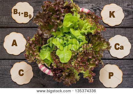 Fresh crispy lettuce and Lollo Rossa. Source of vitamins A C group B rich in potassium calcium phosphorus magnesium. Used in dietary health and vegetarian nutrition detox