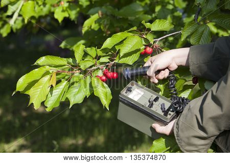 Measuring And Detecting Radiation Levels Of Cherry