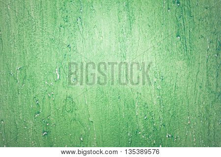 Green Design Vintage Grunge Wall Plaster Texture