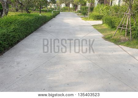 concrete road, concrete walk way, concrete road in a garden.
