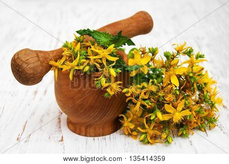 Tutsan Flowers  And Mortar