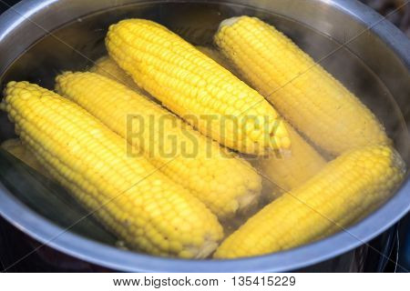 Sweet corn boiled in stainless steel pot.