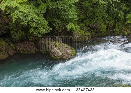 mountain Daiya river in green summer forest with rocky shore in Japan
