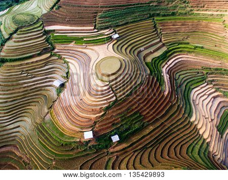 Terraced rice field in water season from drone in Mu Cang Chai, Vietnam.