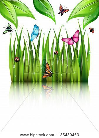 Flying butterflies by the grass and leaves with theirs reflection in the water. Vector illustration.
